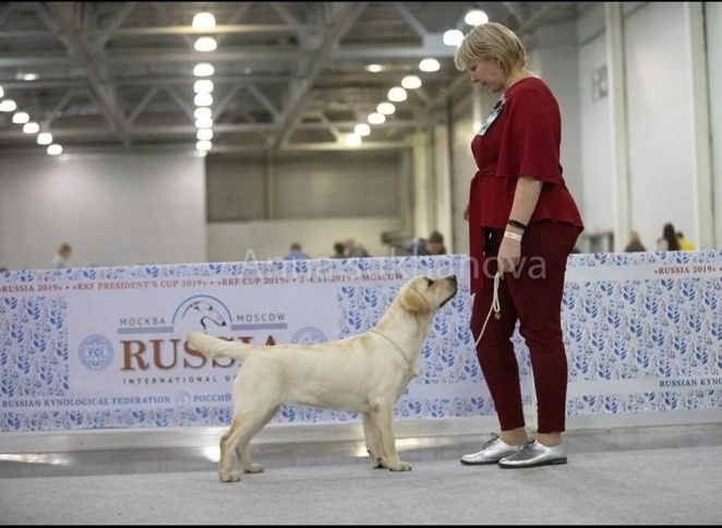 3 ноября 2019 г. Москва