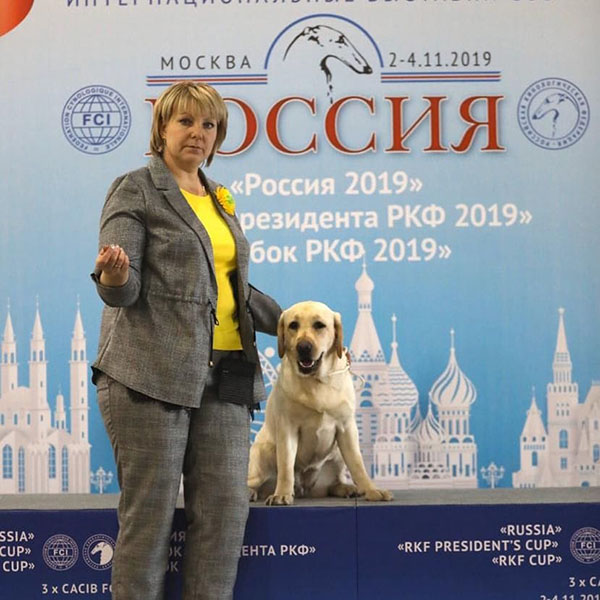 4 ноября 2019г. Москва